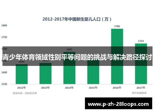 青少年体育领域性别平等问题的挑战与解决路径探讨